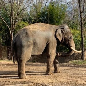 Meet your Posher, Kkirsti